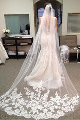 Beautiful Lace Edge One Tier Tulle Long Wedding Veil