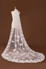 Lace Edge One Tier Tulle Cathedral Length Wedding Veil