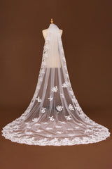 Lace Edge One Tier Tulle Cathedral Length Wedding Veil