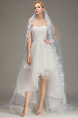 Lace Edge One Tier Tulle Cathedral Length Wedding Veil
