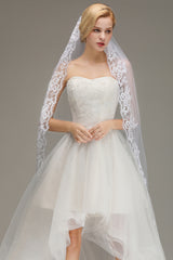 Lace Edge One Tier Tulle Cathedral Length Wedding Veil