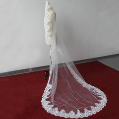 Lace Edge One Tier Tulle Cathedral Length Wedding Veil with Blusher