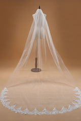 Simple Lace Edge One Tier Tulle Long Wedding Veil