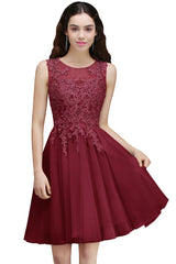 A line Round Neck Tulle Lace Mini Bridesmaid Dress with Appliques Lace