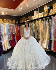 Gorgeous Lace Backless Floor-Length Wedding Dress with Train and V-Neck Appliques