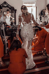 Long Sleeve Lace Mermaid Wedding Dress