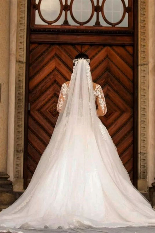 Long Sleeve V-Neck Lace Applique Mermaid Wedding Dress with Detachable Skirt