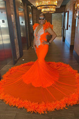 Orange Mermaid Evening Dress with Long Appliques and Feather Detail
