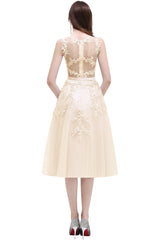 Short A Line Sleeveless Crew Neck Tulle Lace Formal Dress