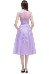 Short A Line Sleeveless Crew Neck Tulle Lace Formal Dress