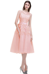 Short A Line Sleeveless Crew Neck Tulle Lace Formal Dress