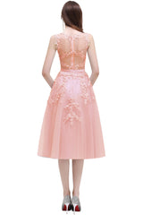 Short A Line Sleeveless Crew Neck Tulle Lace Formal Dress