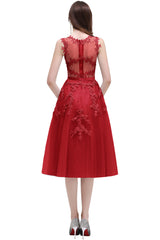 Short A Line Sleeveless Crew Neck Tulle Lace Formal Dress