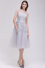 Short A Line Sleeveless Crew Neck Tulle Lace Formal Dress