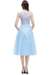 Short A Line Sleeveless Crew Neck Tulle Lace Formal Dress