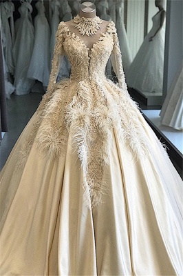 Appliques Ball-Gown Feathers Attractive High-Neck Long-Sleeves Wedding Dresses_1
