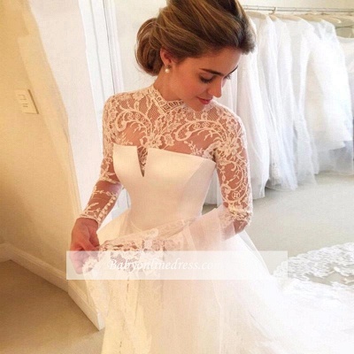Elegant A-line Long-Sleeve Lace Zipper High-Neck Wedding Dress_1