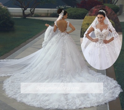 Sleeveless Appliques Lace Princess Luxurious Wedding Dresses_1