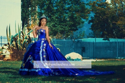 Charming Sweetheart Royal-Blue Embroidery Ball-Gown XV Dresses_3
