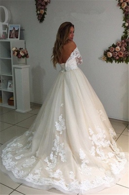 Long Ivory Lace Tulle Sleeves Backless Appliques A-Line Wedding Dresses_3