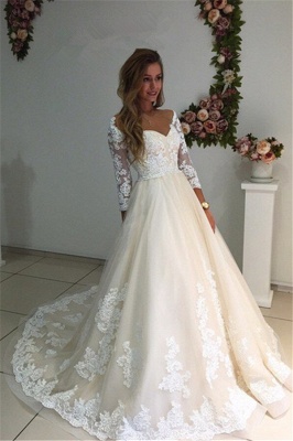 Long Ivory Lace Tulle Sleeves Backless Appliques A-Line Wedding Dresses_2