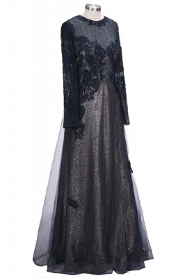 Elegant Long Sleeves A-Line Evening Dresses | Jewel Appliques Beaded See-Through Long Prom Dresses_4