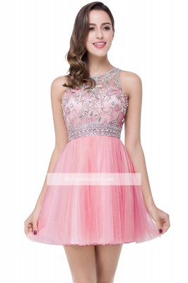 Cheap Short Sleeveless Gorgeous A-Line Crystal Homecoming Dress_5