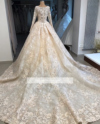 Ball-Gown Scoop Excellent Appliques Long-Sleeves Wedding Dresses_3