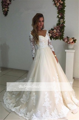 Long Ivory Lace Tulle Sleeves Backless Appliques A-Line Wedding Dresses_1