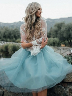 Chic Lace Long Seeves Tutu Tulle A-Line Homecoming Dresses_3